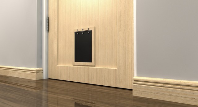 Cat Flap Installation Bellingham, SE6