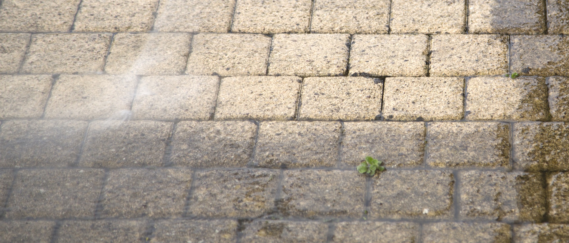 flagging and patios SE6