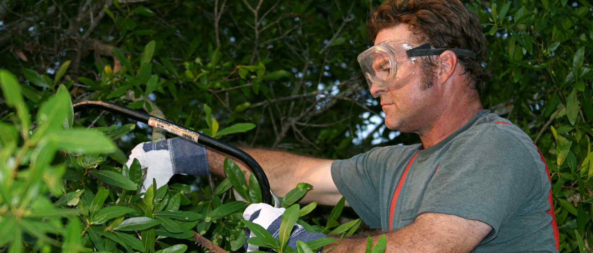 garden clearance SE6